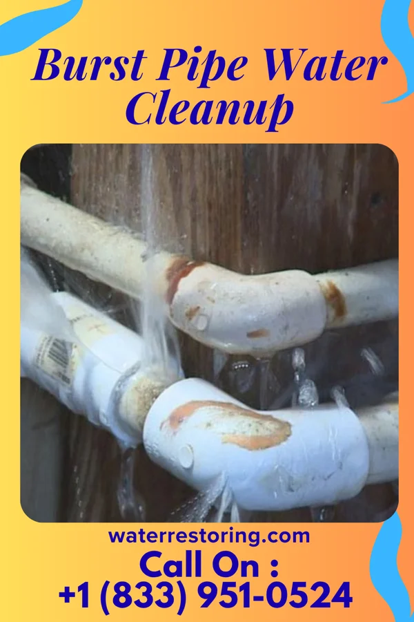 Burst Pipe Water Cleanup in Sharptown, MD