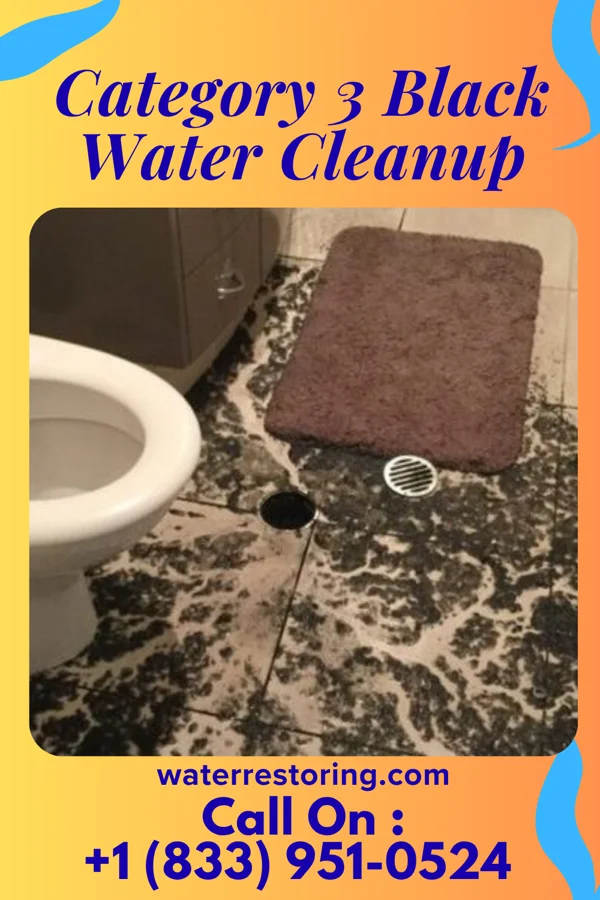 Category 3 Black Water Cleanup in Sharptown, MD