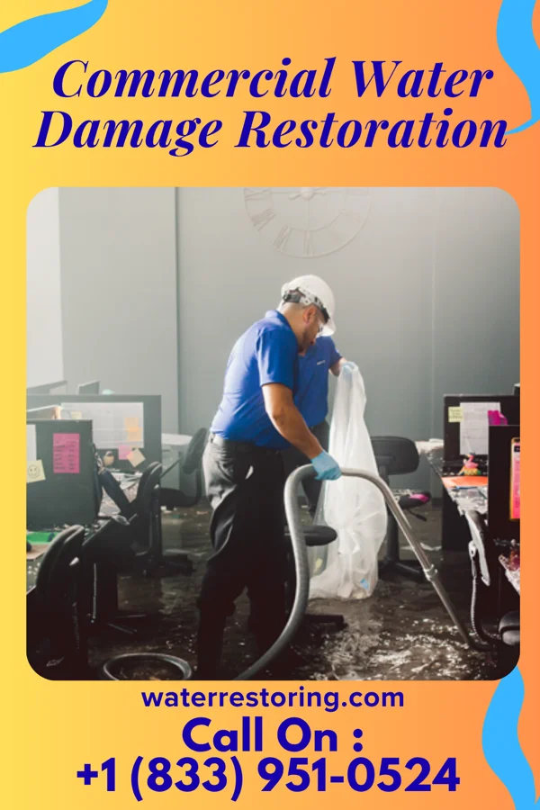Commercial Water Damage Restoration in Sharptown, MD
