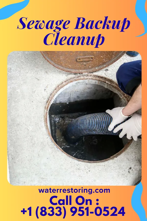 Sewage Backup Cleanup in Sharptown, MD