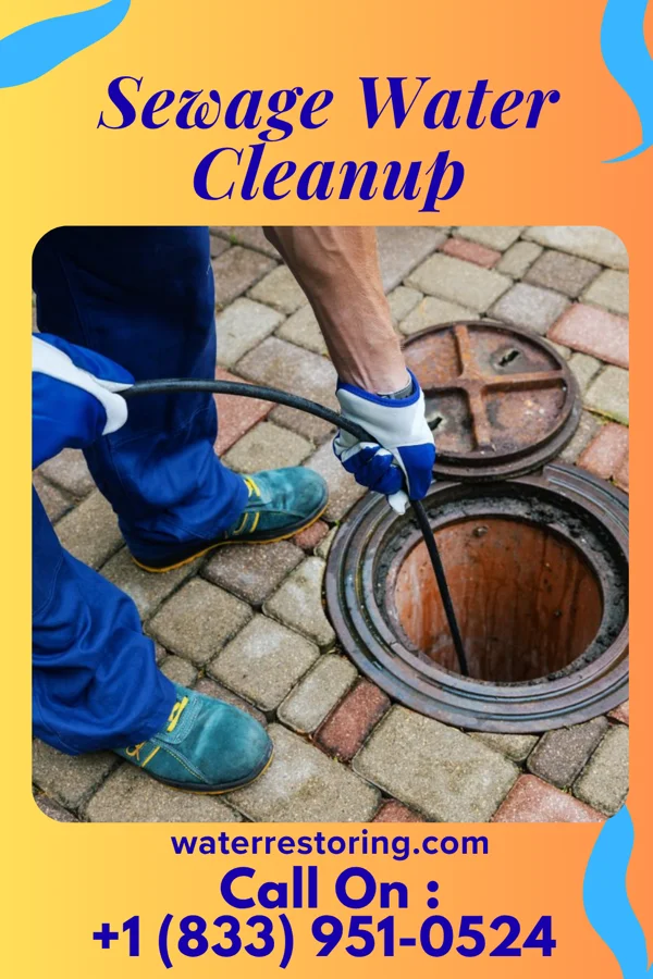 Sewage Water Cleanup in Sharptown, MD